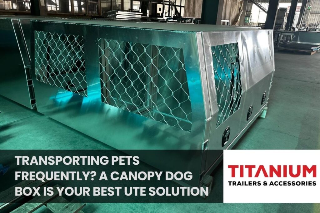 Transporting Pets Frequently? A Canopy Dog Box Is Your Best UTE Solution